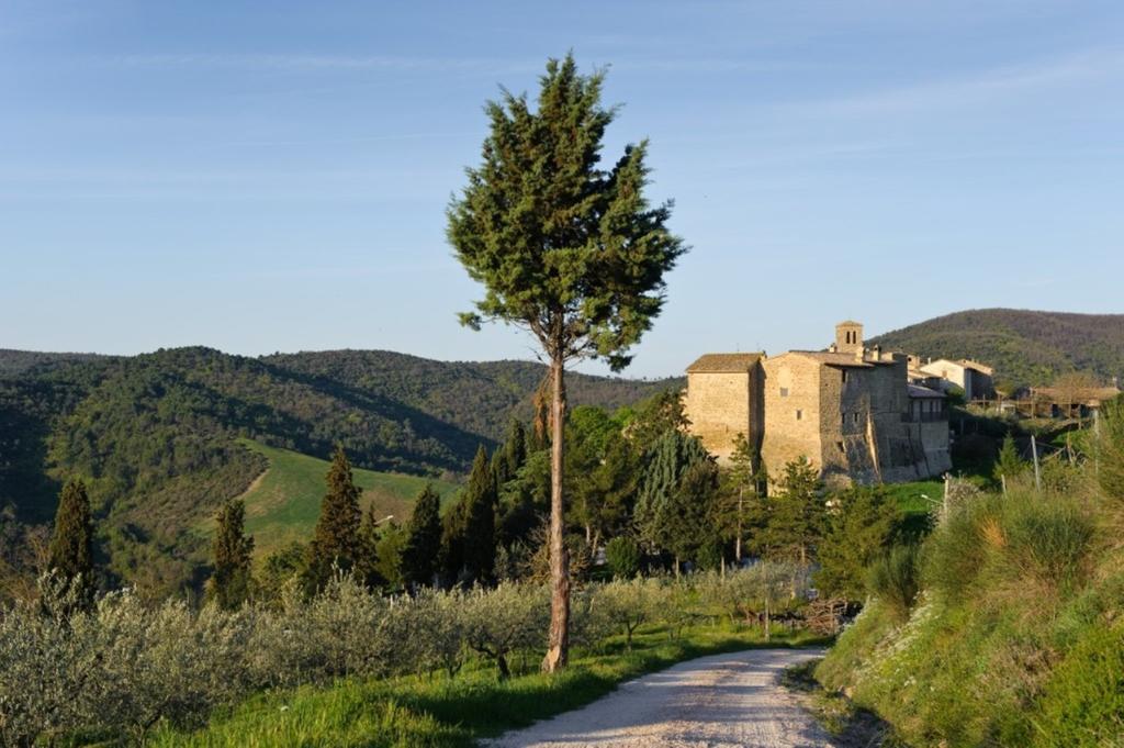 Umbria Nel Cuore Cannara Екстериор снимка
